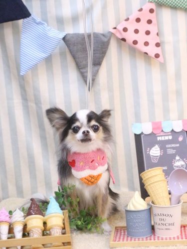 20250516ひめちゃん